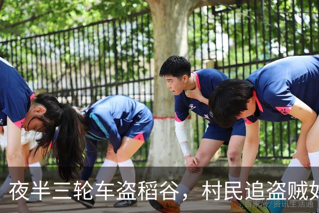 夜半三轮车盗稻谷，村民追盗贼如追菜！